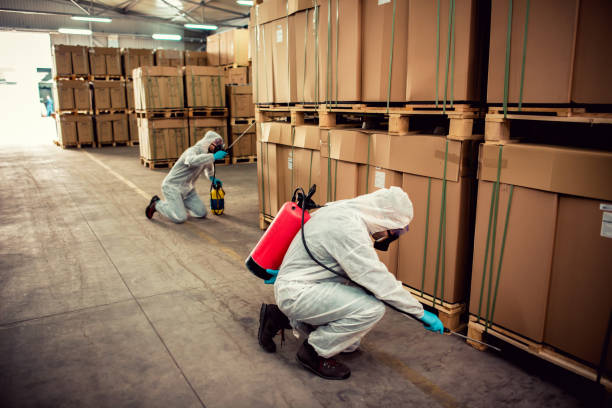 Best Best Pest Control Near Me  in Cooperstown, NY