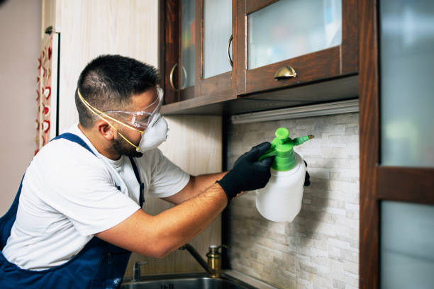 Wasp Removal Services in Cooperstown, NY