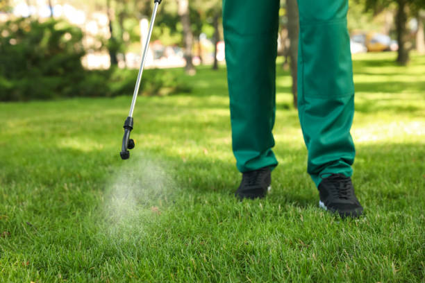 Flea Control Services in Cooperstown, NY