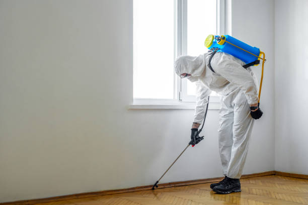 Best Pest Control Near Me in Cooperstown, NY
