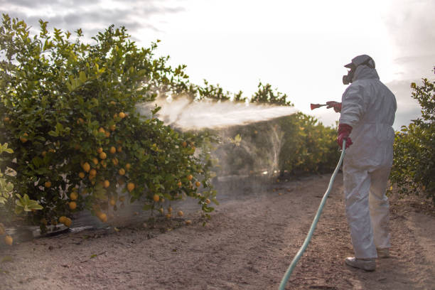 Best Pest Control Treatment  in Cooperstown, NY