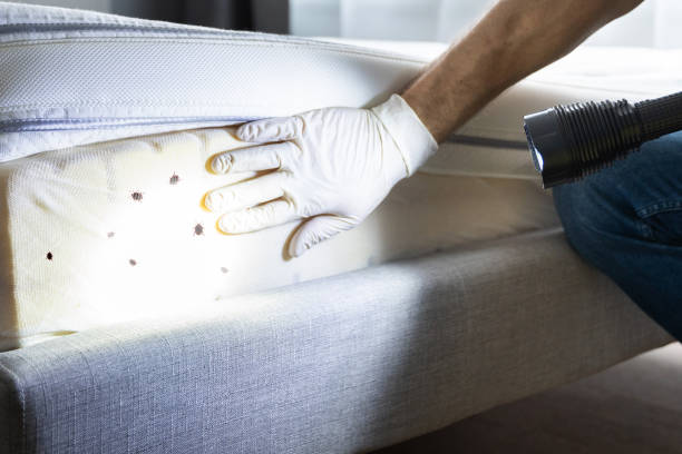 Best Wasp Removal Services  in Cooperstown, NY