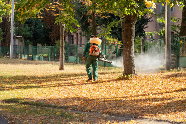 Best Flea Control Services  in Cooperstown, NY