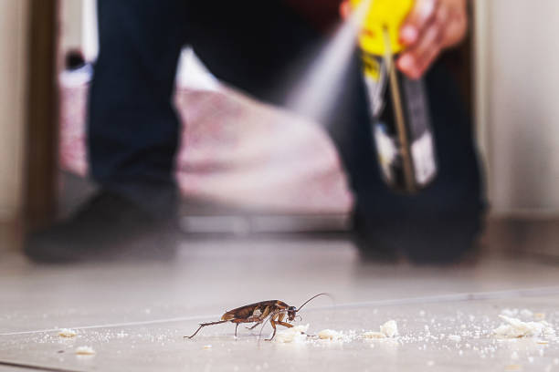 Professional Pest Control in Cooperstown, NY